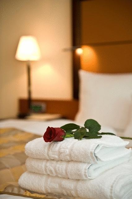 Aparthotel Premier Podgorica Pokój zdjęcie